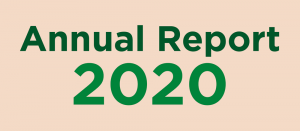 CSN Annual Report 2020 thumbnail